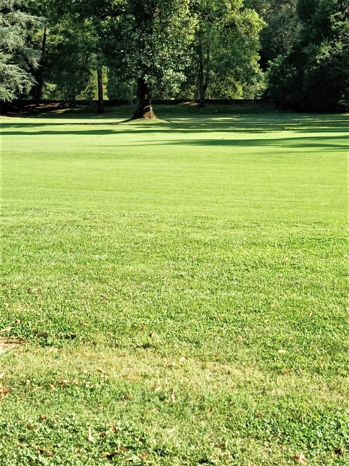 Apartmán Fronte Del Golf Rapallo Exteriér fotografie